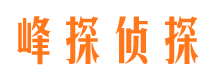 甘谷侦探